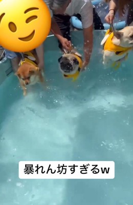 水しぶきがかかる殿くん