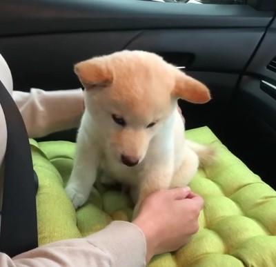 緊張していたのに…