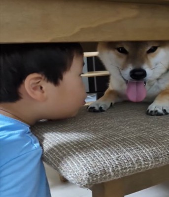 近くで犬を見る男の子2