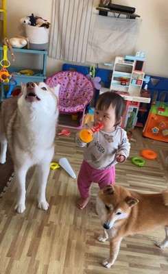 ロッキーくんと赤ちゃんの音楽会3