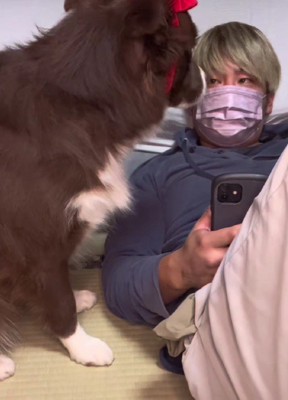 これは許しちゃう♪