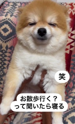 嬉しさMAXの証!?