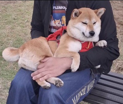 抱っこしてもらってウトウト…
