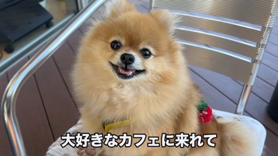 楽しくてニッコリ♪