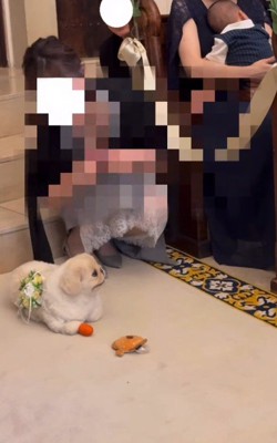 「今はなんか気が向かないかも」