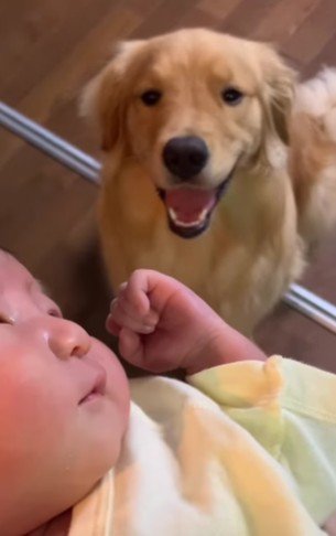 温かなまなざしに涙…