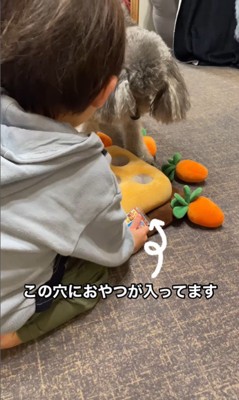 男の子が遊ぶ準備をするのを待つグリィくん