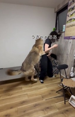 絶叫するお姉ちゃん