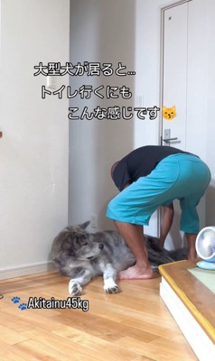 トイレに行きたいパパさんVS虎男くん3