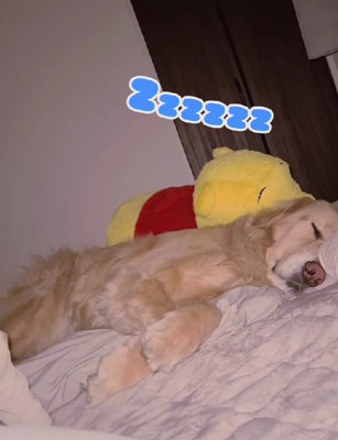 なおも起きないメルちゃん