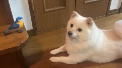 「なんて可愛い小鳥…」