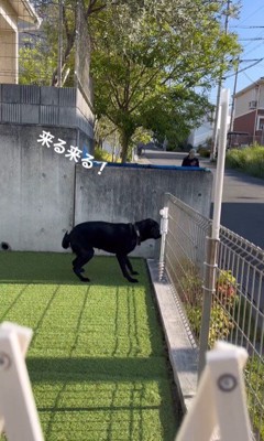 お友達に近づくウーピーちゃん