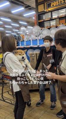 店員に抱っこされる犬