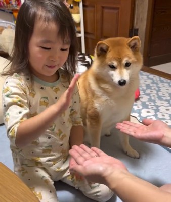 手遊びを見るすずちゃん1