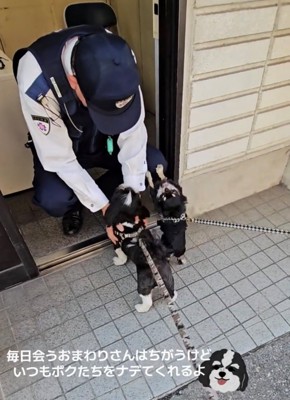 しゃがんだ警察官と触れ合う犬たち