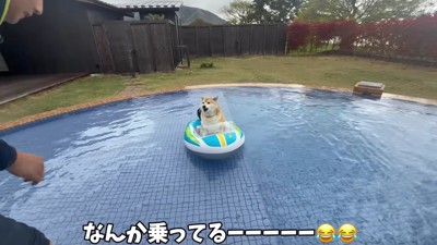 なんかボート乗ってる！！