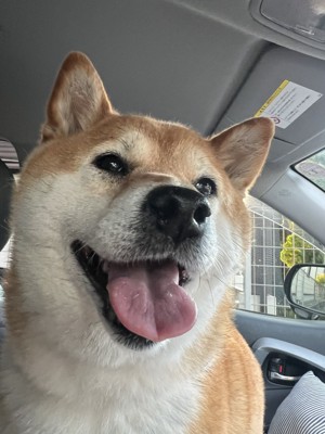 お迎え