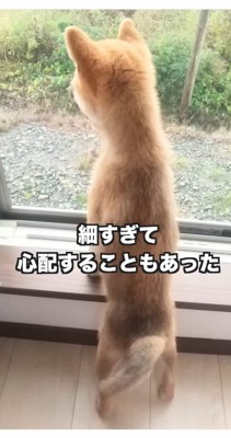 少しずつ成長するも…