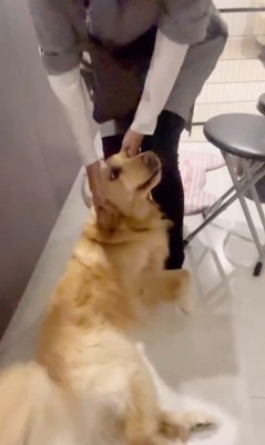 おばちゃんに会えて大興奮のリサちゃん7