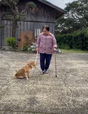 心配したけれど…