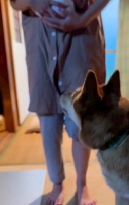 まだ遊べないかな?