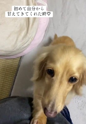 自分から甘えてきた♡