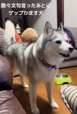 「おやつちょうだい!」