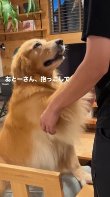 男性に前足をかける犬