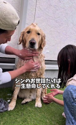 愛が巡る光景にホッコリ…