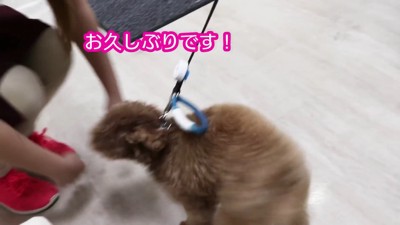 想像以上の大興奮にキュン♡