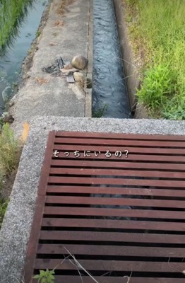 川の様子