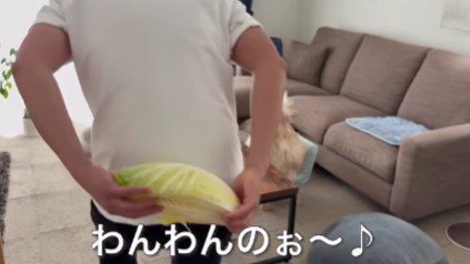 わんわんちゃんへのサプライズ！