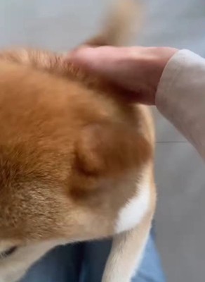 大歓喜する姿にホッコリ