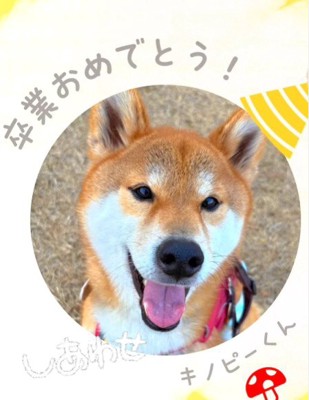 これからも幸せに