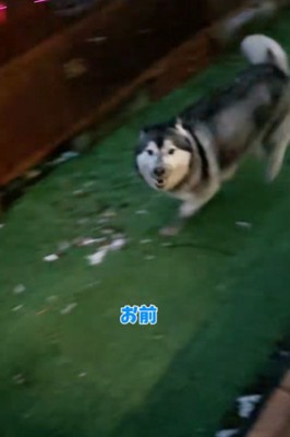 泥遊び楽しかったね！！