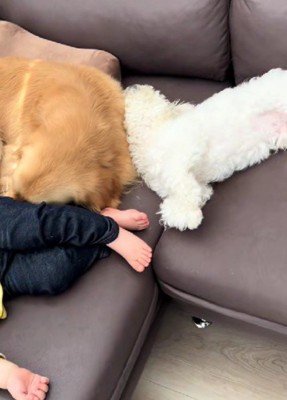 幸せそのもの…