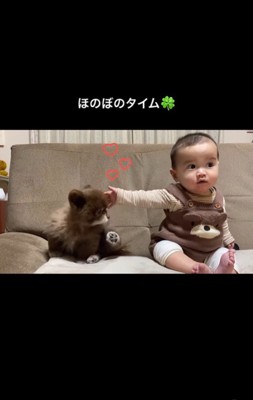 あんこちゃんと赤ちゃん3
