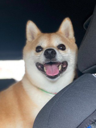 「お母さん、いた！！」