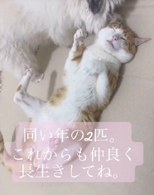 いつまでも仲良くね♡