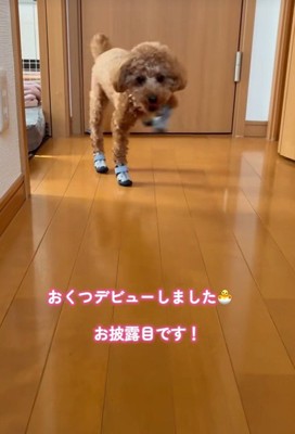 足が高く上がりすぎ！