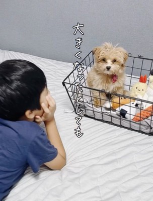 カゴにちょこんっ