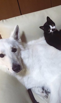 仲良しなリリーちゃん＆タンタンちゃん2