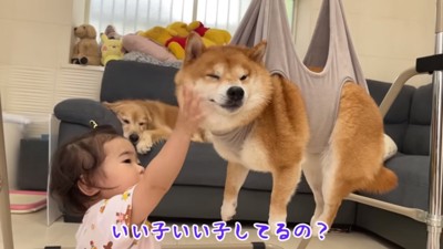 うにくんを励ますほのちゃん
