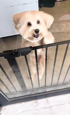 飛び跳ねるぷっくくん3