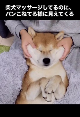 日課のフェイスマッサージ