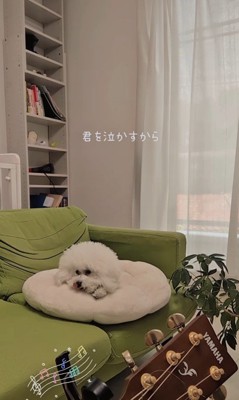 弾き語りを聴くメロンさん