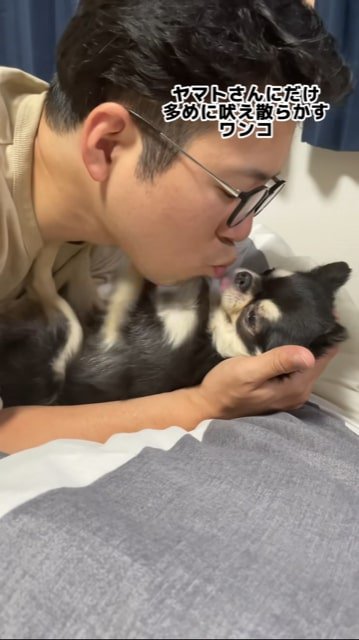 犬にキスする飼い主