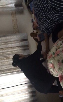 ムギちゃんを置くママ