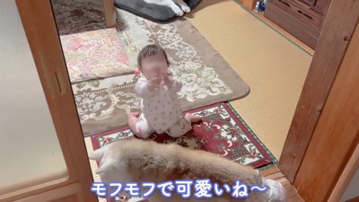 子守り上手なあいちゃん