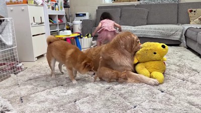 「一緒に遊ぼう!」